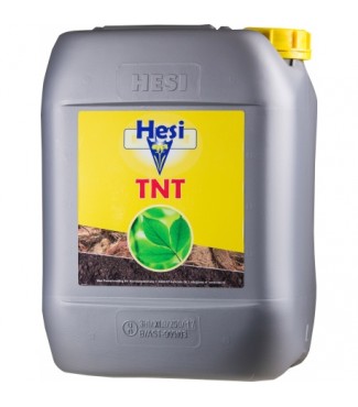 HESI TNT