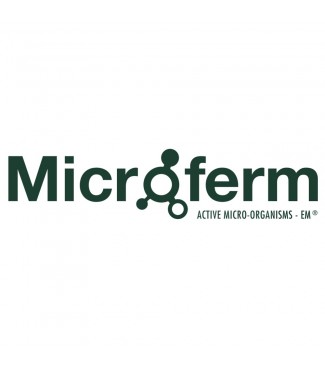 Microferm - 2 L BIB